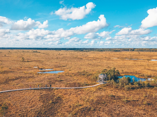 Aukštumalos pažintinis takas. Nemuno delta. Andrius Aleksandravičius Aukštumalos pažintinis takas. Nemuno delta. Andrius Aleksandravičius