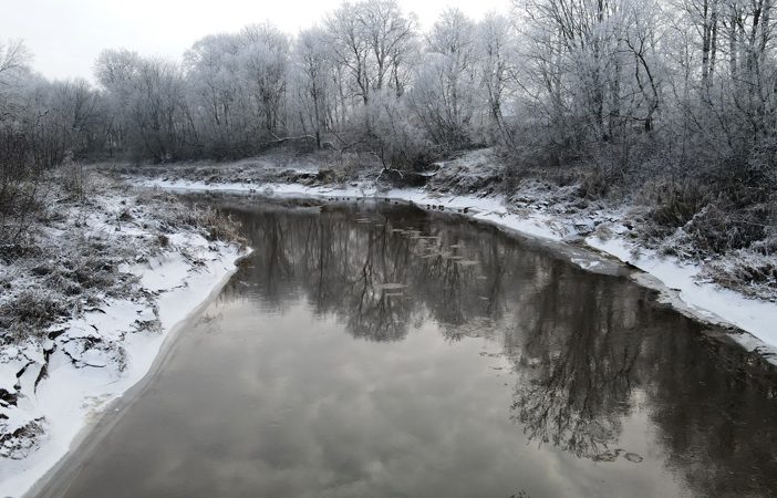 šešuvis